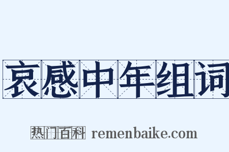 哀感中年组词是什么意思的图片